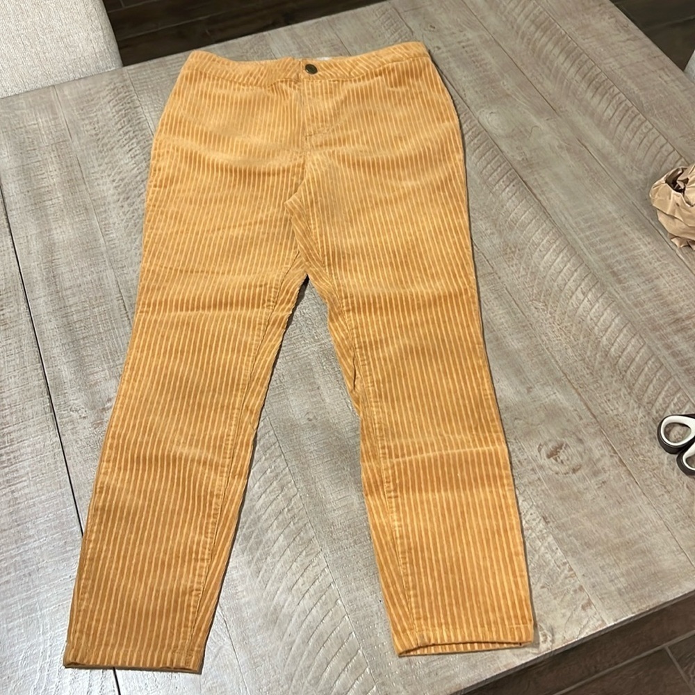 INDIGO REIN high rise ankle corduroy pants size 11/29